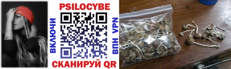Псилоцибиновые грибы Cubensis  Артёмовск 