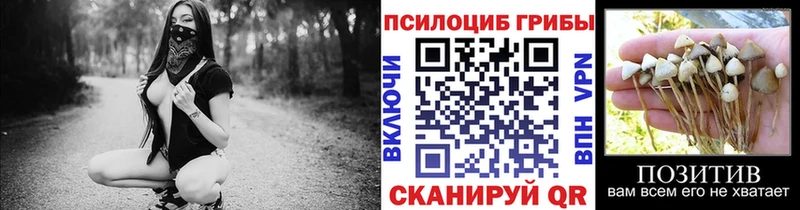 Псилоцибиновые грибы мицелий Артёмовск